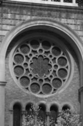 The Letter o_15 - NYC - Black & White