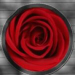 The Letter o_177- Toronto - Black & White