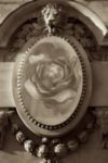 The Letter o_19 - PARIS - Sepia Tone