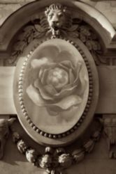 The Letter o_19 - PARIS - Sepia Tone