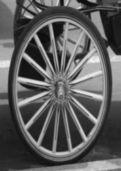 The Letter o_1 - NYC - Black & White