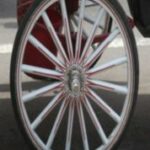 The Letter o_1 - NYC - Color