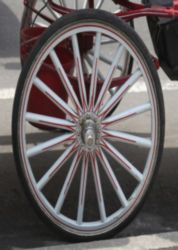 The Letter o_1 - NYC - Color