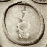 The Letter o_23 - PARIS - Sepia Tone