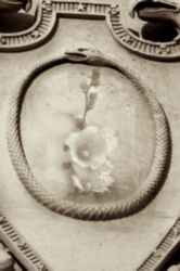 The Letter o_23 - PARIS - Sepia Tone