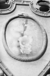 The Letter o_23 - PARIS - Black & White