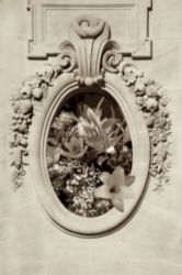 The Letter o_29 - PARIS - Sepia Tone