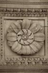 The Letter o_33 - PARIS - Sepia Tone
