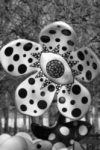 The Letter o_46 - PARIS - Black & White