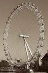 The Letter o_48 - London - Sepia Tone