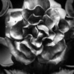 The Letter o_99 - London - Black & White