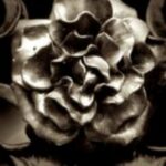 The Letter o_99 - London - Sepia Tone