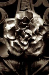 The Letter o_99 - London - Sepia Tone