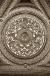 The Letter o_r_5_r_s - Sepia Tone