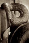The Letter p_1 - PARIS - Sepia Tone