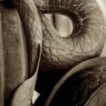 The Letter p_1 - PARIS - Sepia Tone