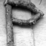 The Letter p_8- Toronto - Black & White