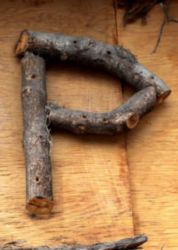 The Letter p_8 - Toronto - Color