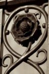 The Letter q_4 - London - Sepia Tone