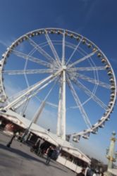 The Letter q_7 - PARIS - Color