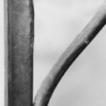 The Letter r_6 - Toronto - Black & White