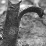 The Letter r_9 - Toronto - Black & White