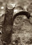 The Letter r_9 - Toronto - Sepia Tone