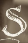 The Letter s_11 - London - Sepia Tone