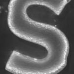The Letter s_17 - London - Black & White
