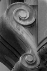 The Letter s_2 - NYC - Black & White