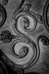 The Letter s_2 - PARIS - Black & White