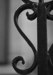 The Letter s_3 - NYC - Black & White