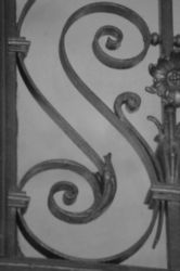 The Letter s_5 - PARIS - Black & White