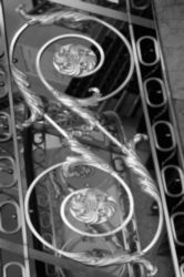 The Letter s_6 - NYC - Black & White