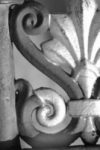 The Letter s_6 - PARIS - Black & White