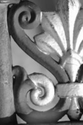 The Letter s_6 - PARIS - Black & White