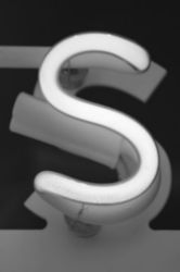 The Letter s_7 - NYC - Black & White