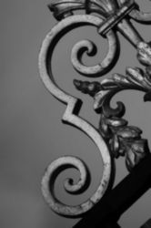 The Letter s_7 - PARIS - Black & White