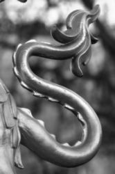 The Letter s_9 - London - Black & White