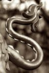 The Letter s_9 - London - Sepia Tone