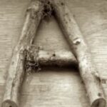 The Letter a_11 - Sepia Tone