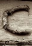 The Letter c_9 - Sepia Tone