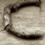 The Letter c_9 - Sepia Tone