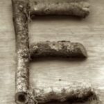The Letter e_10 - Sepia Tone