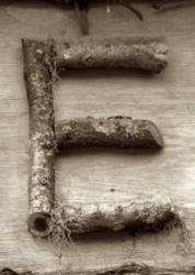 The Letter e_10 - Sepia Tone