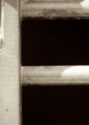 The Letter f_3 - Sepia Tone