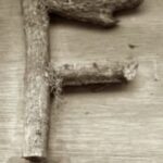 The Letter f_6 - Sepia Tone