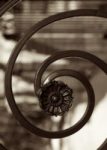 The Letter g_3 - Sepia Tone