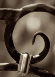 The Letter g_6 - Sepia Tone