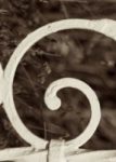 The Letter g_7 - Sepia Tone